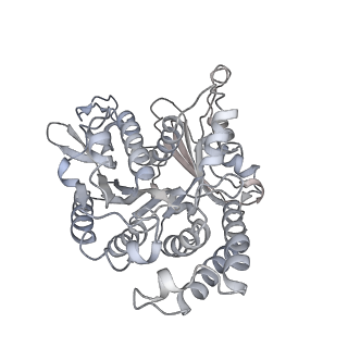 35823_8iyj_VN_v1-0
Cryo-EM structure of the 48-nm repeat doublet microtubule from mouse sperm