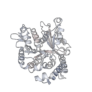 35823_8iyj_VO_v1-0
Cryo-EM structure of the 48-nm repeat doublet microtubule from mouse sperm