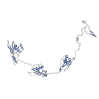 35823_8iyj_V_v1-0
Cryo-EM structure of the 48-nm repeat doublet microtubule from mouse sperm