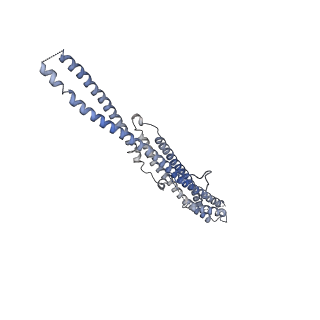 35823_8iyj_W4_v1-0
Cryo-EM structure of the 48-nm repeat doublet microtubule from mouse sperm