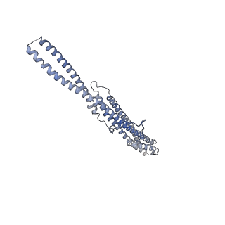 35823_8iyj_W5_v1-0
Cryo-EM structure of the 48-nm repeat doublet microtubule from mouse sperm