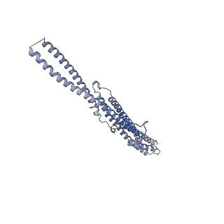 35823_8iyj_W6_v1-0
Cryo-EM structure of the 48-nm repeat doublet microtubule from mouse sperm