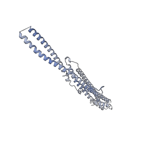 35823_8iyj_W7_v1-0
Cryo-EM structure of the 48-nm repeat doublet microtubule from mouse sperm