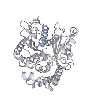 35823_8iyj_WA_v1-0
Cryo-EM structure of the 48-nm repeat doublet microtubule from mouse sperm