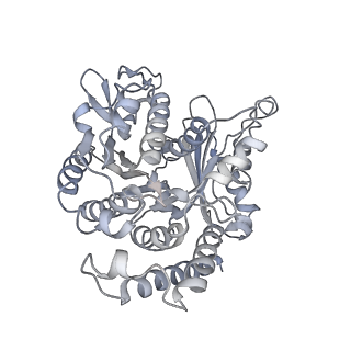 35823_8iyj_WB_v1-0
Cryo-EM structure of the 48-nm repeat doublet microtubule from mouse sperm