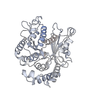 35823_8iyj_WC_v1-0
Cryo-EM structure of the 48-nm repeat doublet microtubule from mouse sperm