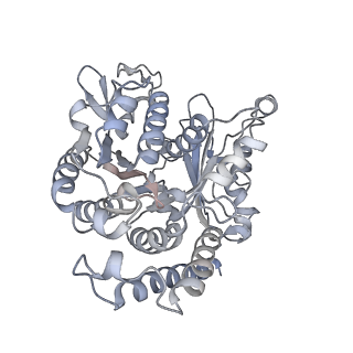 35823_8iyj_WD_v1-0
Cryo-EM structure of the 48-nm repeat doublet microtubule from mouse sperm