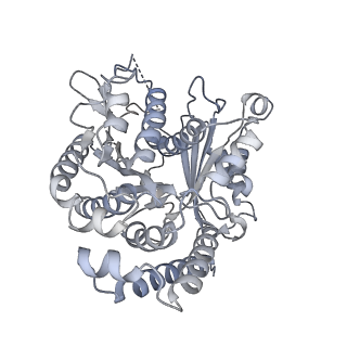 35823_8iyj_WE_v1-0
Cryo-EM structure of the 48-nm repeat doublet microtubule from mouse sperm