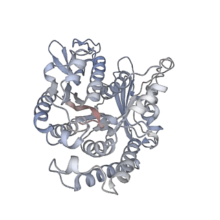35823_8iyj_WF_v1-0
Cryo-EM structure of the 48-nm repeat doublet microtubule from mouse sperm