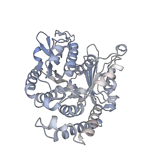 35823_8iyj_WH_v1-0
Cryo-EM structure of the 48-nm repeat doublet microtubule from mouse sperm
