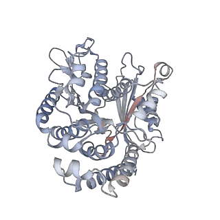 35823_8iyj_WI_v1-0
Cryo-EM structure of the 48-nm repeat doublet microtubule from mouse sperm