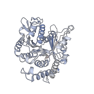 35823_8iyj_WJ_v1-0
Cryo-EM structure of the 48-nm repeat doublet microtubule from mouse sperm