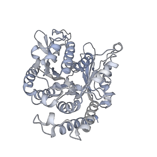 35823_8iyj_WL_v1-0
Cryo-EM structure of the 48-nm repeat doublet microtubule from mouse sperm
