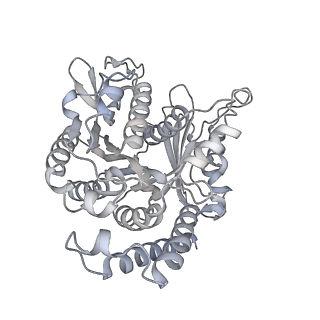 35823_8iyj_WP_v1-0
Cryo-EM structure of the 48-nm repeat doublet microtubule from mouse sperm