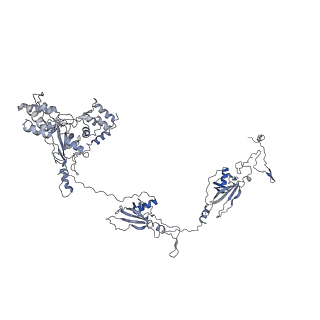 35823_8iyj_W_v1-0
Cryo-EM structure of the 48-nm repeat doublet microtubule from mouse sperm