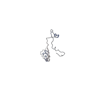 35823_8iyj_X5_v1-0
Cryo-EM structure of the 48-nm repeat doublet microtubule from mouse sperm