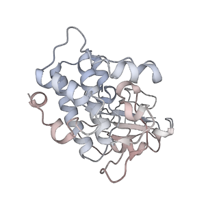 35823_8iyj_X6_v1-0
Cryo-EM structure of the 48-nm repeat doublet microtubule from mouse sperm