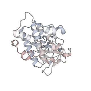 35823_8iyj_X7_v1-0
Cryo-EM structure of the 48-nm repeat doublet microtubule from mouse sperm