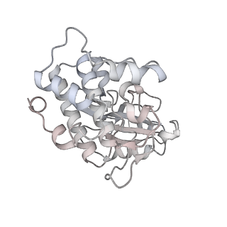 35823_8iyj_X8_v1-0
Cryo-EM structure of the 48-nm repeat doublet microtubule from mouse sperm