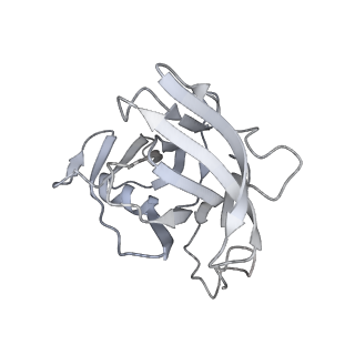 35823_8iyj_XA_v1-0
Cryo-EM structure of the 48-nm repeat doublet microtubule from mouse sperm