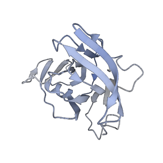 35823_8iyj_XB_v1-0
Cryo-EM structure of the 48-nm repeat doublet microtubule from mouse sperm
