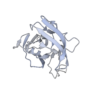 35823_8iyj_XC_v1-0
Cryo-EM structure of the 48-nm repeat doublet microtubule from mouse sperm