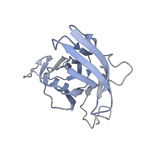 35823_8iyj_XD_v1-0
Cryo-EM structure of the 48-nm repeat doublet microtubule from mouse sperm