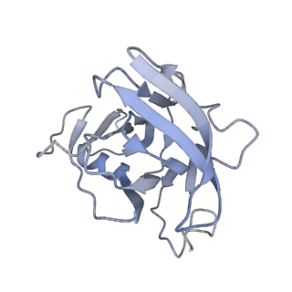 35823_8iyj_XE_v1-0
Cryo-EM structure of the 48-nm repeat doublet microtubule from mouse sperm