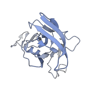 35823_8iyj_XF_v1-0
Cryo-EM structure of the 48-nm repeat doublet microtubule from mouse sperm