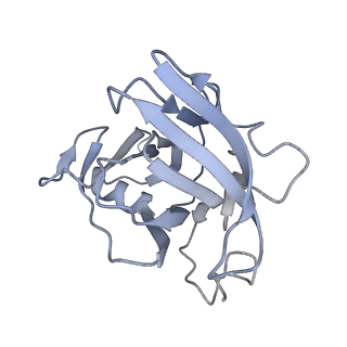 35823_8iyj_XH_v1-0
Cryo-EM structure of the 48-nm repeat doublet microtubule from mouse sperm