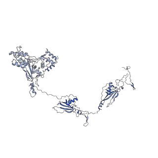 35823_8iyj_X_v1-0
Cryo-EM structure of the 48-nm repeat doublet microtubule from mouse sperm