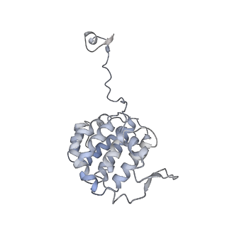 35823_8iyj_YA_v1-0
Cryo-EM structure of the 48-nm repeat doublet microtubule from mouse sperm