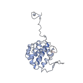 35823_8iyj_YB_v1-0
Cryo-EM structure of the 48-nm repeat doublet microtubule from mouse sperm