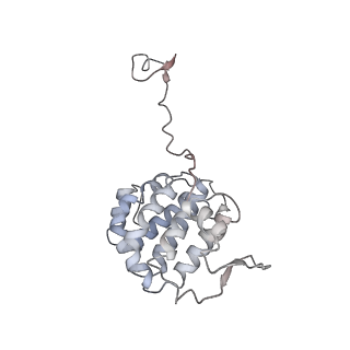 35823_8iyj_YC_v1-0
Cryo-EM structure of the 48-nm repeat doublet microtubule from mouse sperm