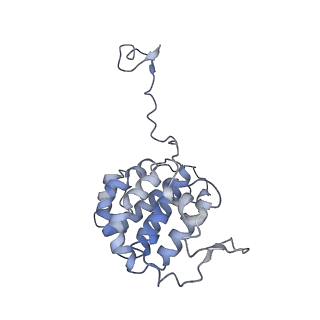 35823_8iyj_YD_v1-0
Cryo-EM structure of the 48-nm repeat doublet microtubule from mouse sperm
