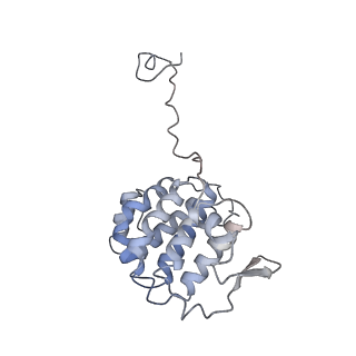 35823_8iyj_YE_v1-0
Cryo-EM structure of the 48-nm repeat doublet microtubule from mouse sperm