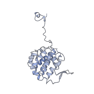 35823_8iyj_YF_v1-0
Cryo-EM structure of the 48-nm repeat doublet microtubule from mouse sperm