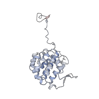 35823_8iyj_YG_v1-0
Cryo-EM structure of the 48-nm repeat doublet microtubule from mouse sperm