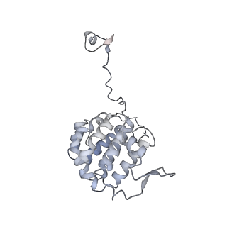35823_8iyj_YH_v1-0
Cryo-EM structure of the 48-nm repeat doublet microtubule from mouse sperm