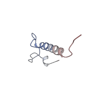 35823_8iyj_Z2_v1-0
Cryo-EM structure of the 48-nm repeat doublet microtubule from mouse sperm