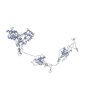 35823_8iyj_Z_v1-0
Cryo-EM structure of the 48-nm repeat doublet microtubule from mouse sperm