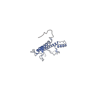 35823_8iyj_a1_v1-0
Cryo-EM structure of the 48-nm repeat doublet microtubule from mouse sperm