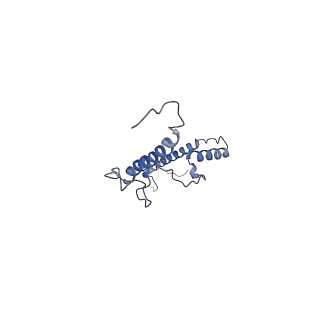 35823_8iyj_a2_v1-0
Cryo-EM structure of the 48-nm repeat doublet microtubule from mouse sperm
