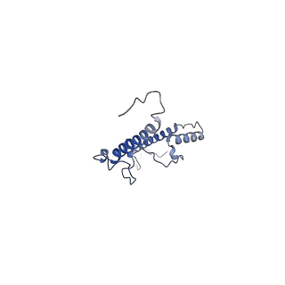 35823_8iyj_a3_v1-0
Cryo-EM structure of the 48-nm repeat doublet microtubule from mouse sperm
