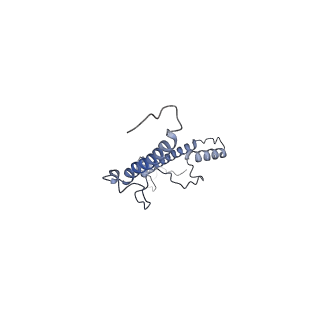 35823_8iyj_a4_v1-0
Cryo-EM structure of the 48-nm repeat doublet microtubule from mouse sperm