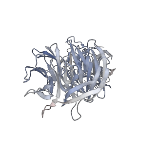 35823_8iyj_e_v1-0
Cryo-EM structure of the 48-nm repeat doublet microtubule from mouse sperm