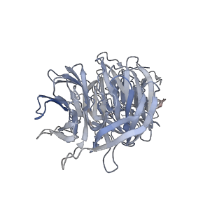 35823_8iyj_f_v1-0
Cryo-EM structure of the 48-nm repeat doublet microtubule from mouse sperm