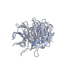 35823_8iyj_g_v1-0
Cryo-EM structure of the 48-nm repeat doublet microtubule from mouse sperm