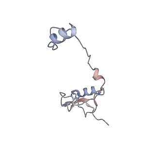 35823_8iyj_h1_v1-0
Cryo-EM structure of the 48-nm repeat doublet microtubule from mouse sperm
