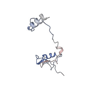 35823_8iyj_h2_v1-0
Cryo-EM structure of the 48-nm repeat doublet microtubule from mouse sperm